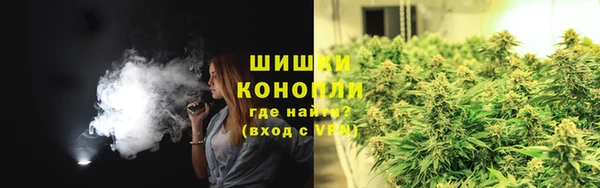 PSILOCYBIN Балабаново